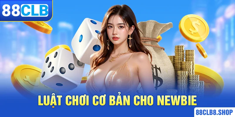 Luật chơi cơ bản cho newbie