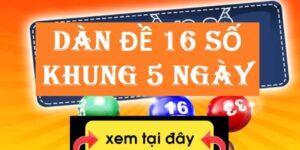 Nuôi dàn đề 16 số ảnh đại diện